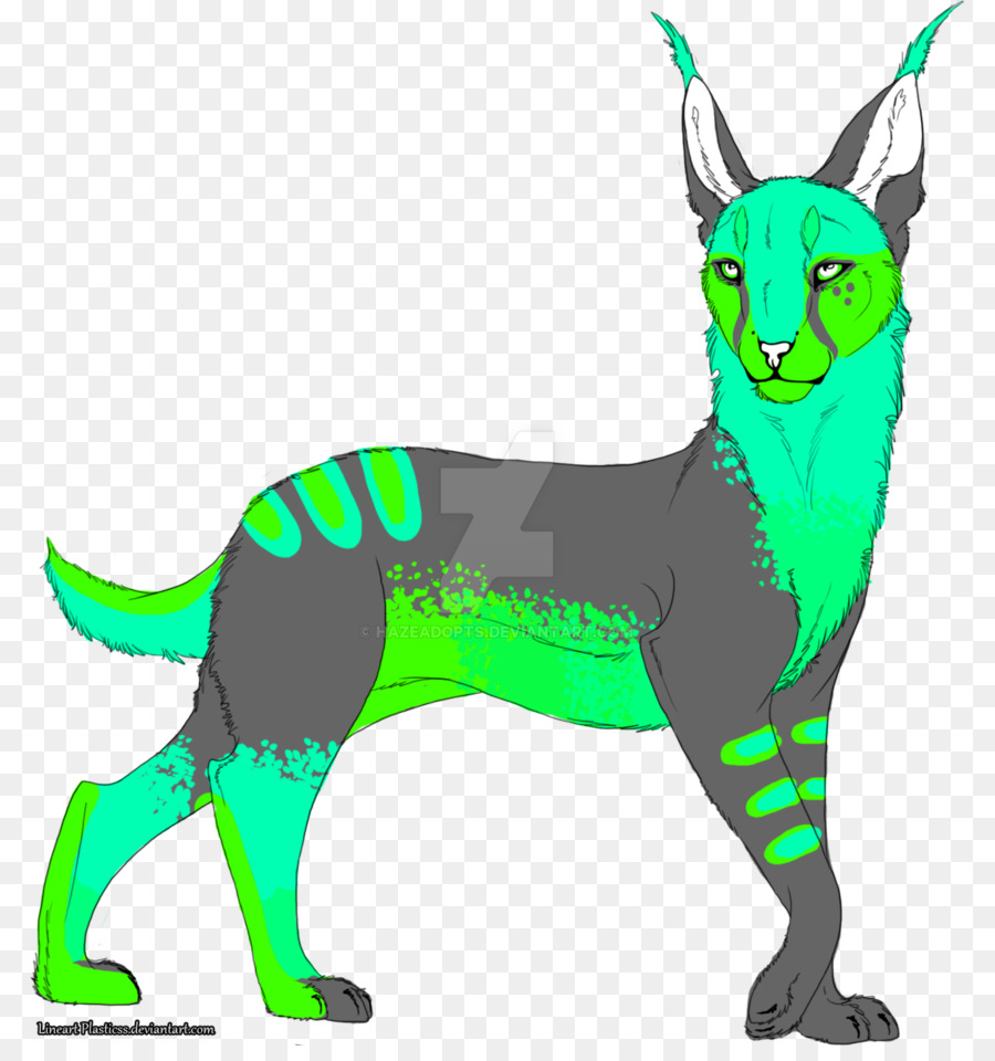 Gato，Perro PNG