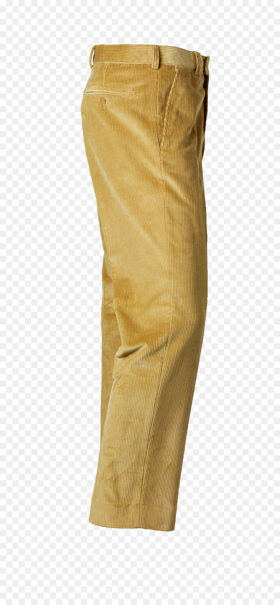 De Color Caqui，Pantalones PNG