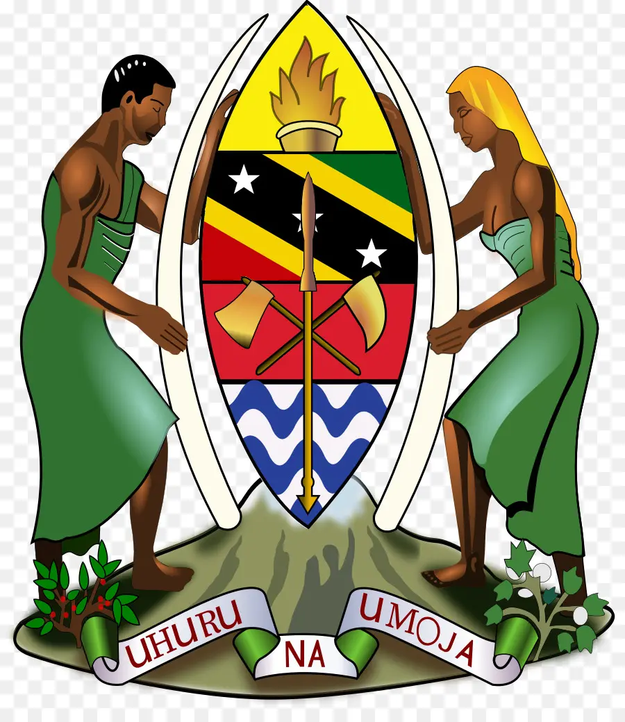 Escudo De Armas，Blindaje PNG