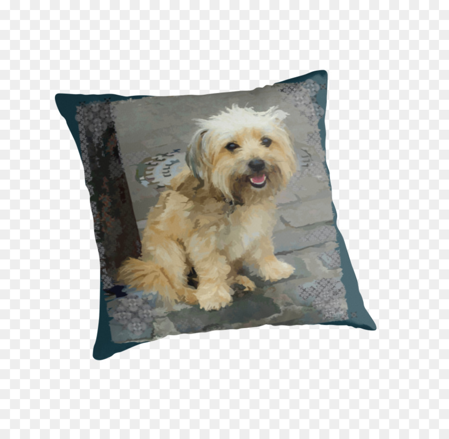 Terrier Tibetano，Morkie PNG