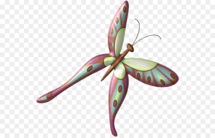 Mariposa，Marcos De Imágenes PNG