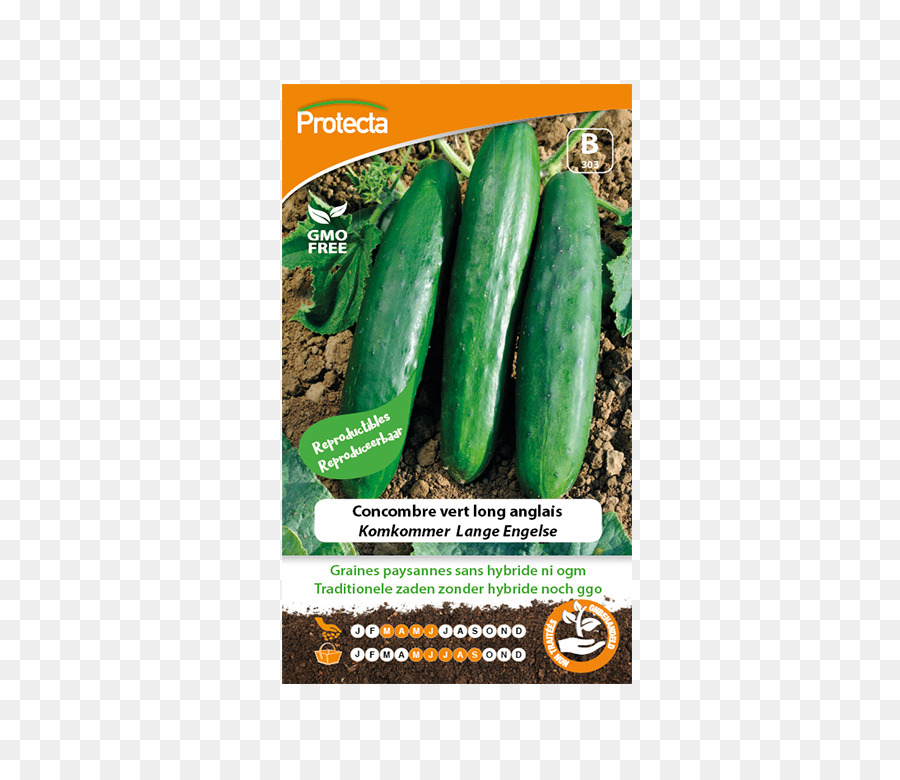 Pepino，La Semilla De Ahorro PNG