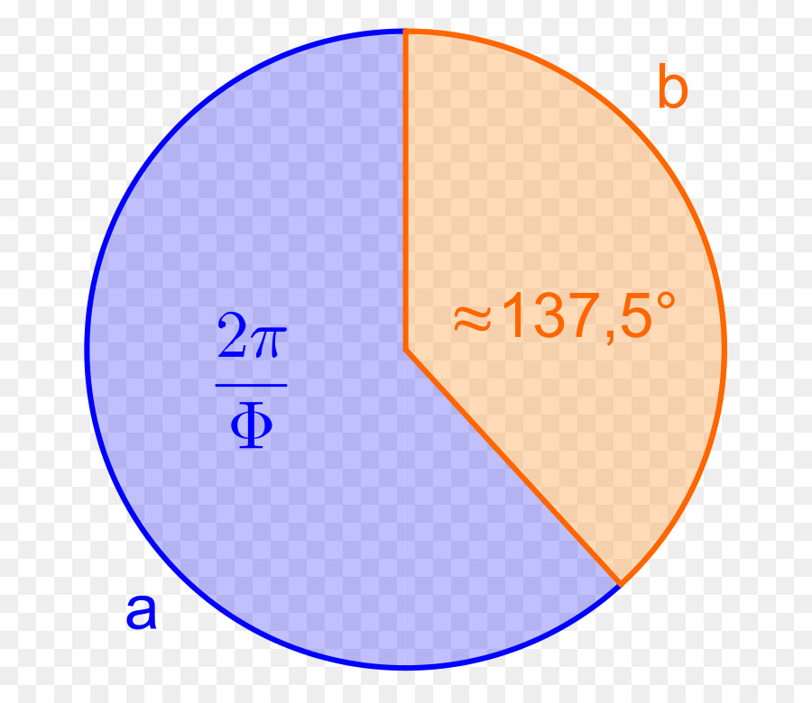 Circulo，Proporción áurea PNG