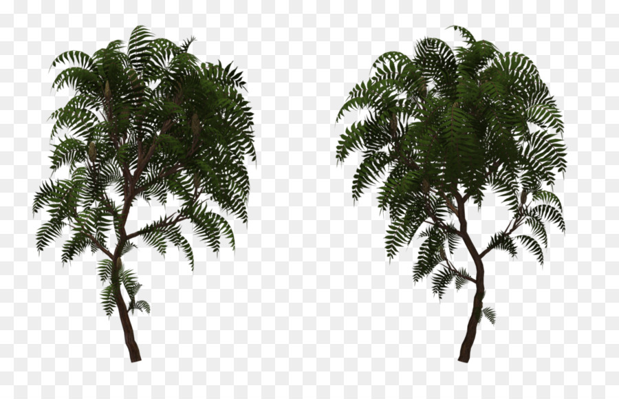 Babasú，Sumac PNG