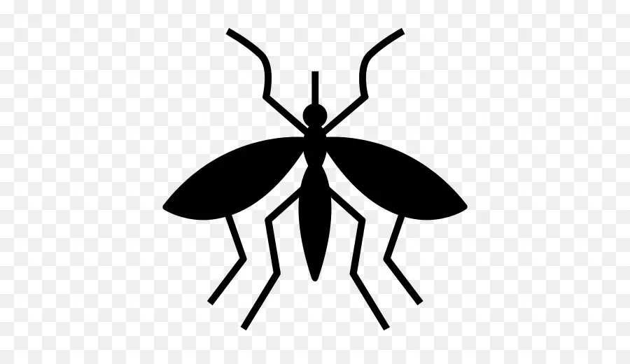 Mosquito，La Malaria PNG