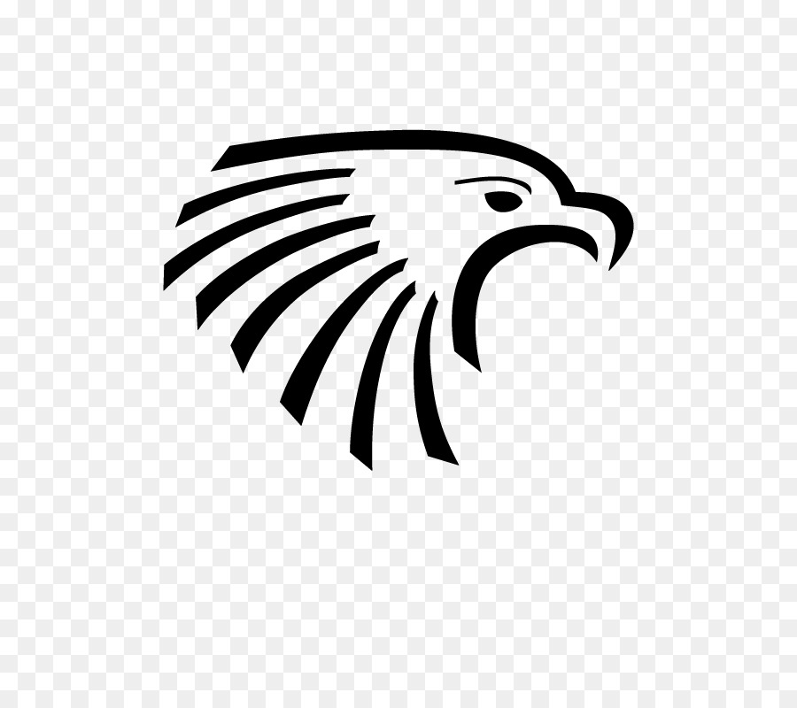 Atlanta Hawks，águila Calva PNG