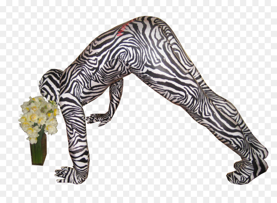 Cebra，Morphsuits PNG