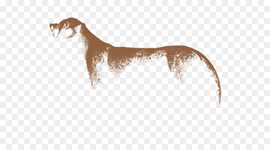 Raza De Perro，Lebrel Italiano PNG