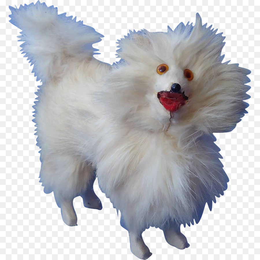 German Spitz Pequeño，Pomerania PNG