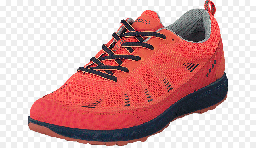 Zapatillas De Deporte，Zapato PNG