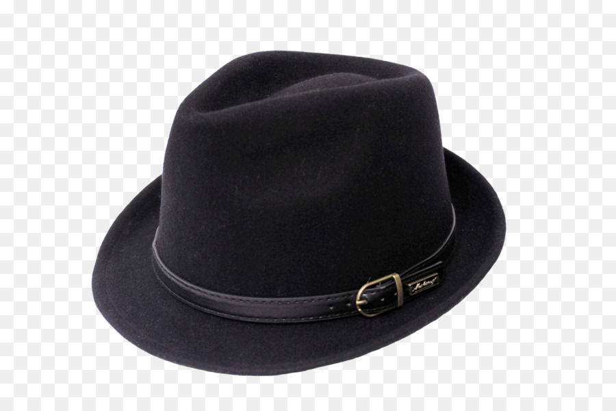 Fedora，Negocio PNG