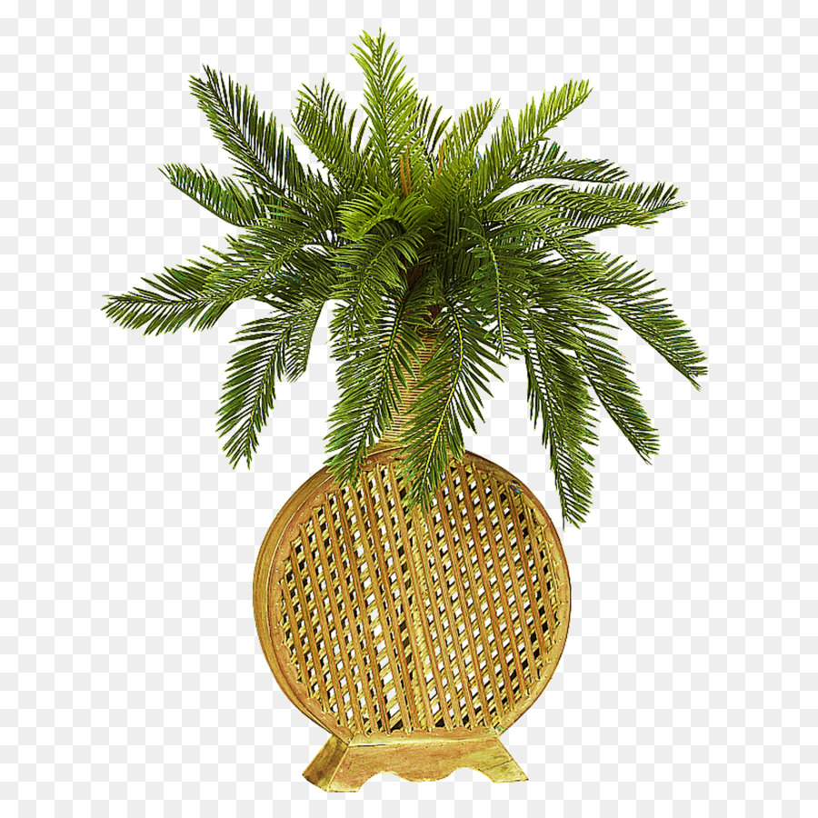 Planta En Maceta，Verdor PNG