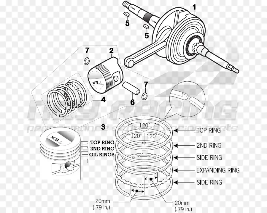 Diagrama Del Motor，Regiones PNG