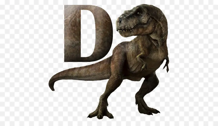 Tyrannosaurus，Velociraptor PNG