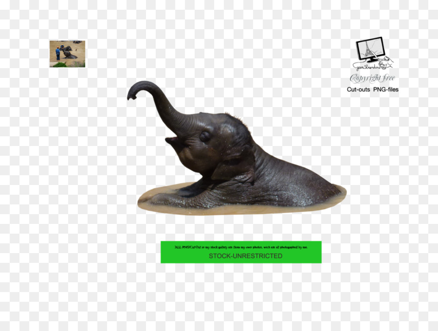 La Escultura，Animal PNG