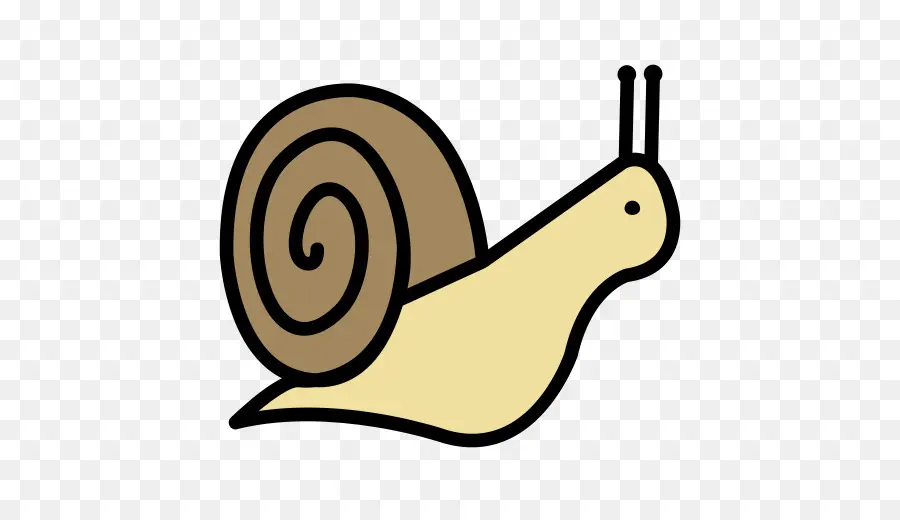 Caracol，Caparazón PNG