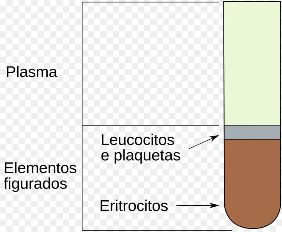 El Plasma De La Sangre，La Sangre PNG