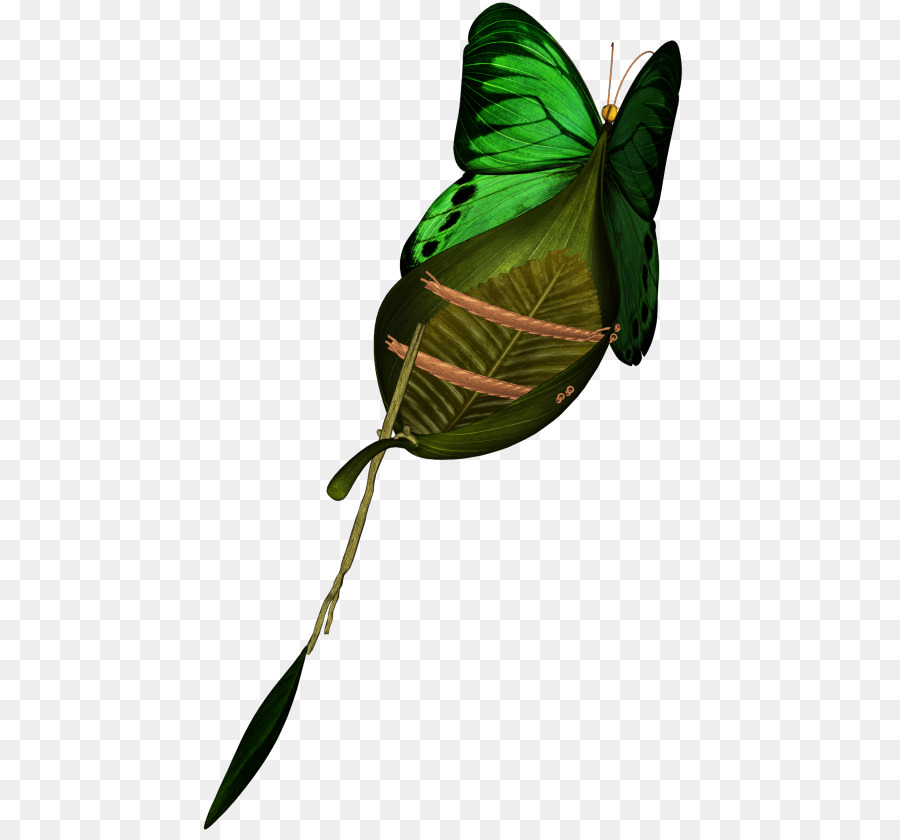 Hoja，Tallo De La Planta PNG