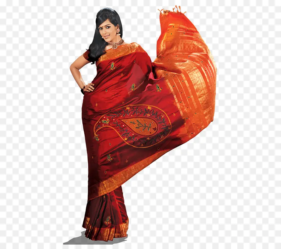 Sari，Modelo PNG