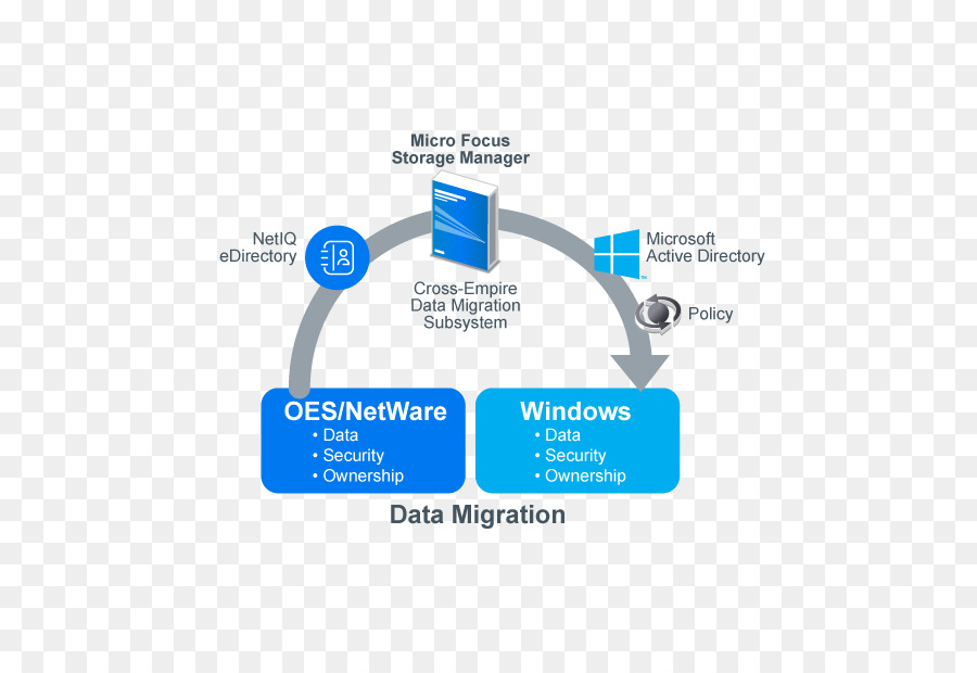 Migración De Datos De，La Gestión De Datos PNG