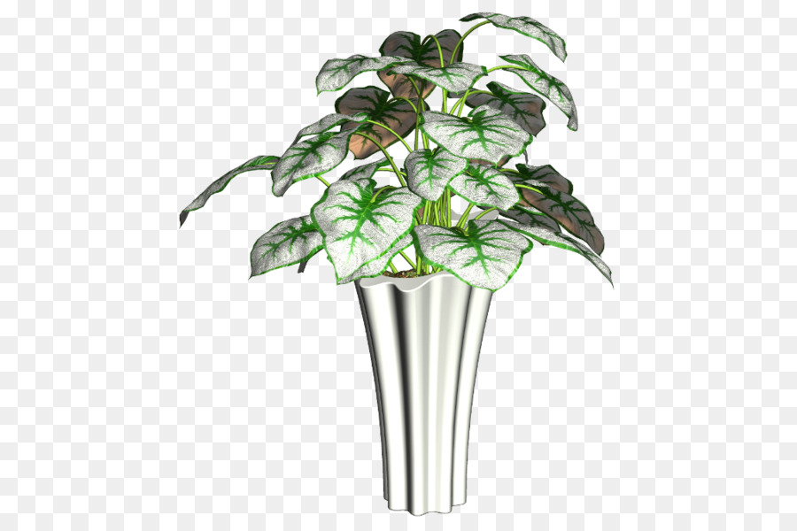 Maceta，Planta PNG