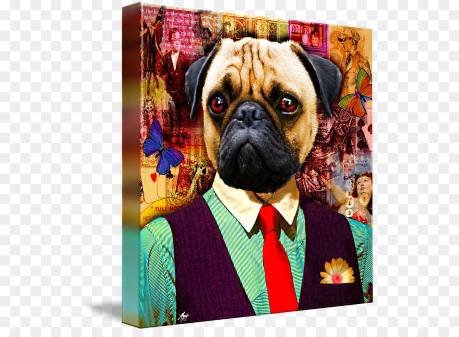 Pug，Cachorro PNG