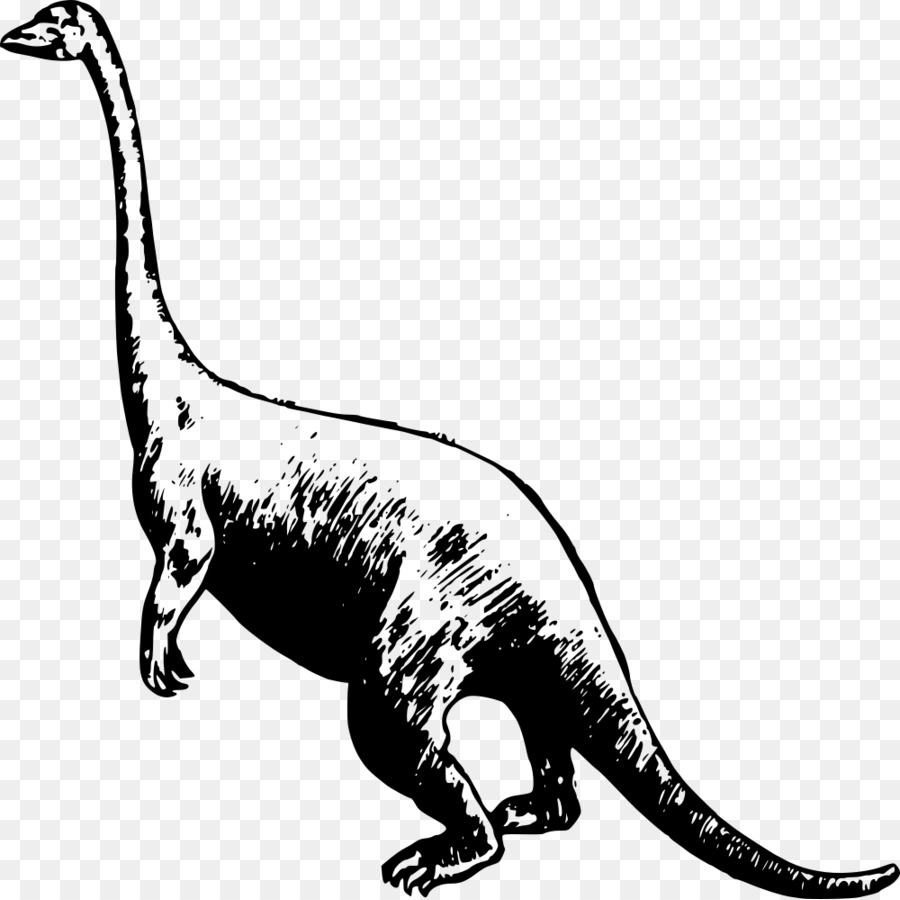 Tyrannosaurus，Velociraptor PNG