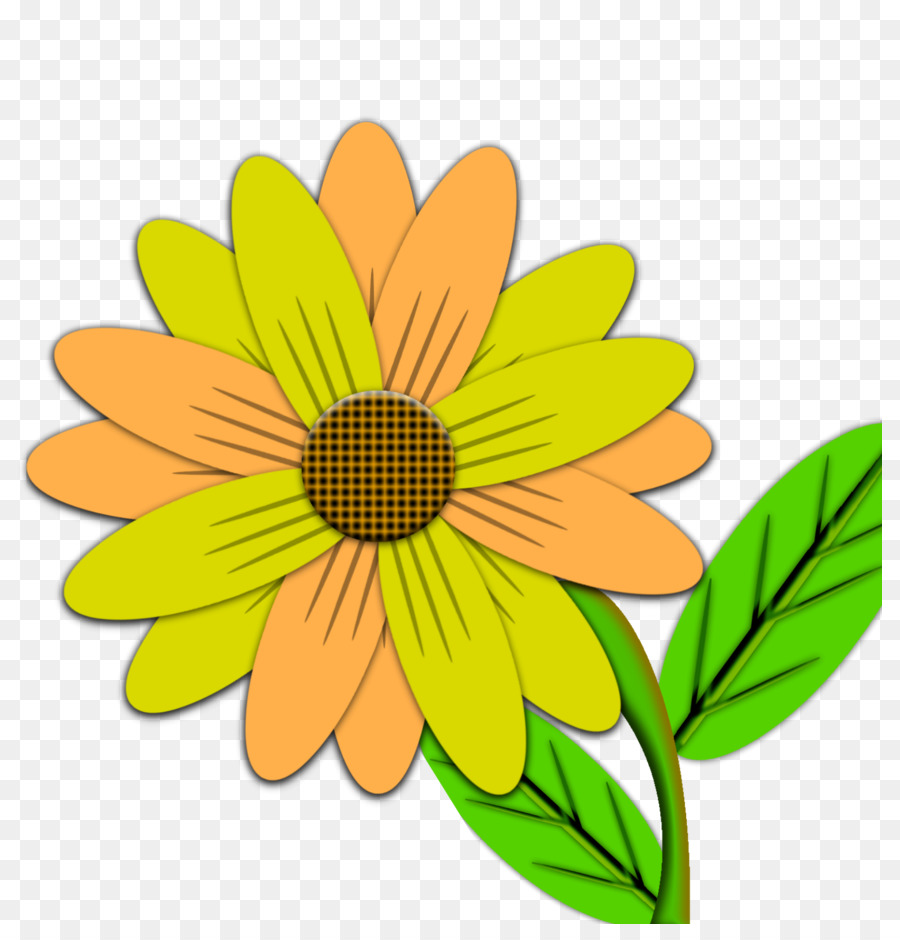 Fondo De Escritorio，Común Daisy PNG