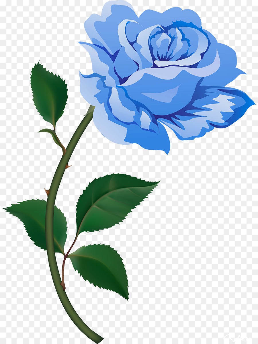 Fondo De Escritorio，Flor PNG