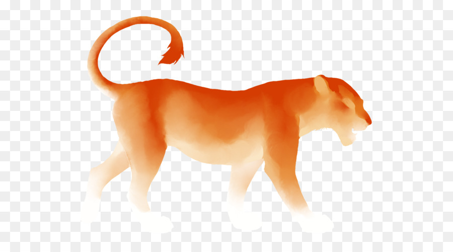 León，Gato PNG