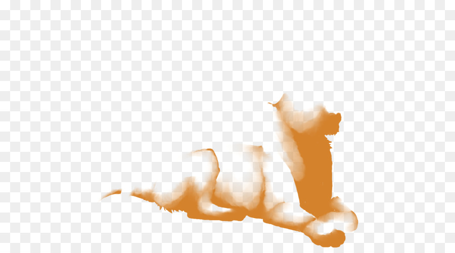 Gato Siamés，Abisinio PNG