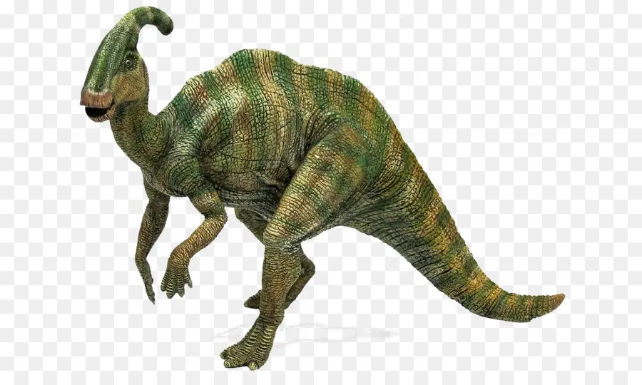 Tiranosaurio，Parasaurolophus PNG