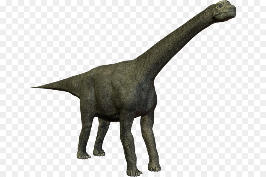 Velociraptor，Camarasaurus PNG