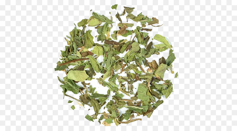 Té，Tieguanyin PNG