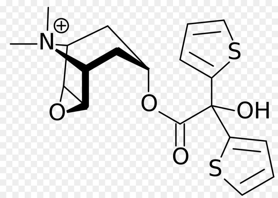 Alcohólica El Síndrome De Korsakoff，El Bromuro De Tiotropio PNG