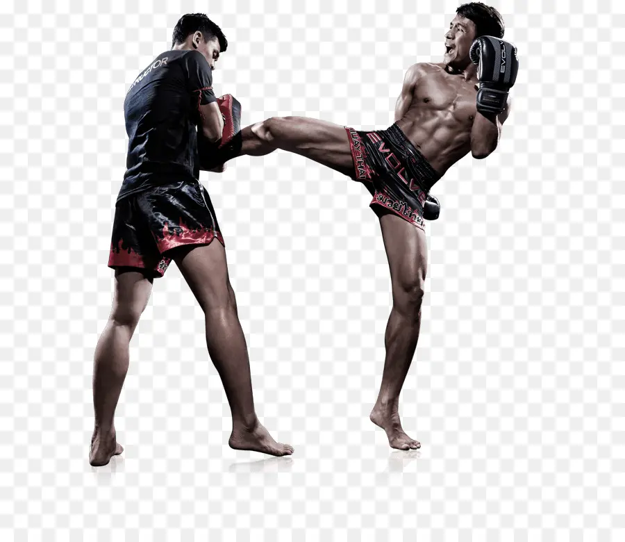 Muay Thai，Las Artes Marciales Mixtas PNG