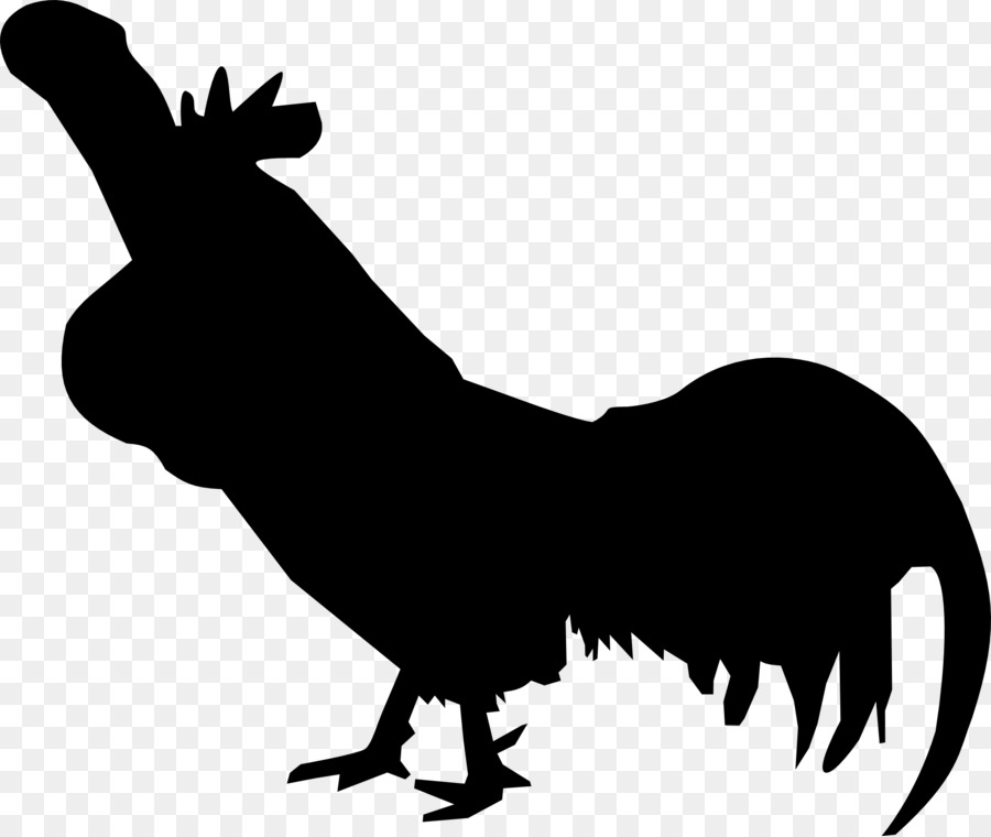 Gallo，La Polla De Un Doodle Doo PNG