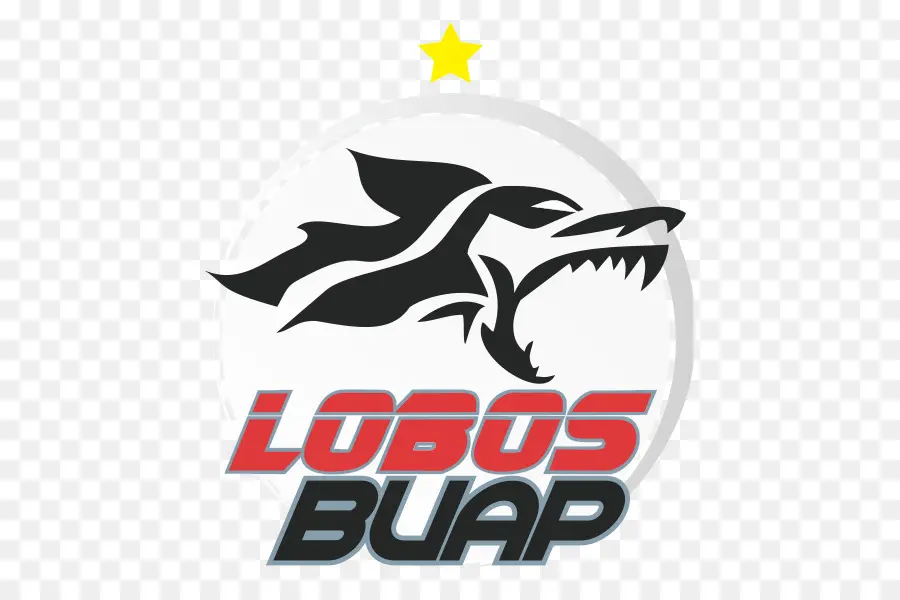 Estadio Universitario Buap，Lobos Buap PNG