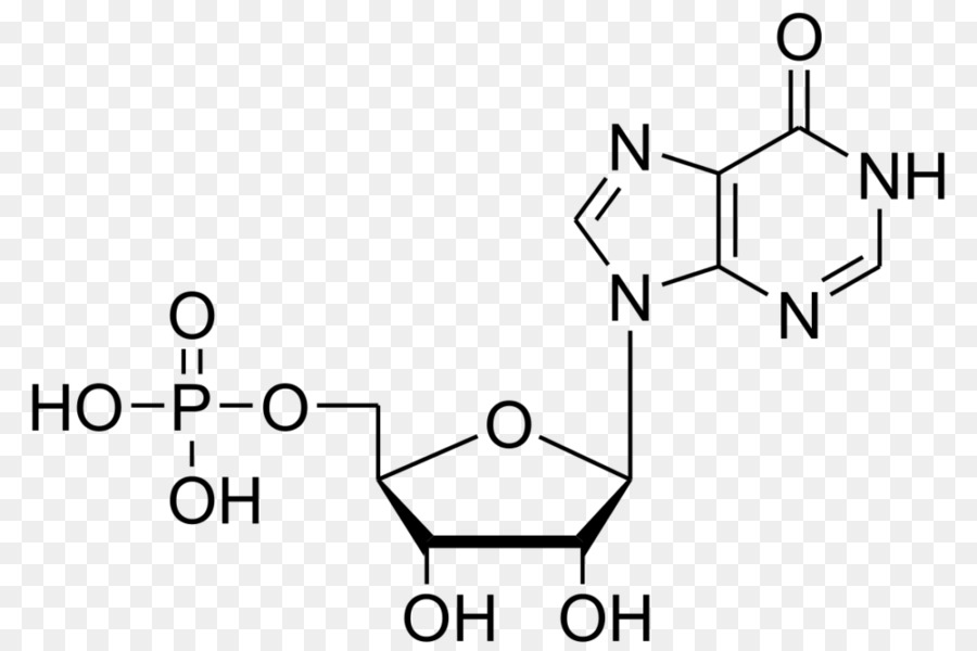 ácido Inosínico，Monofosfato De Adenosina PNG