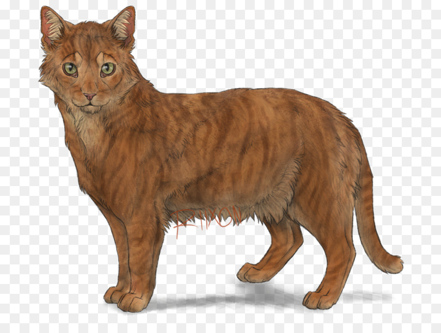 Gato，Mascota PNG