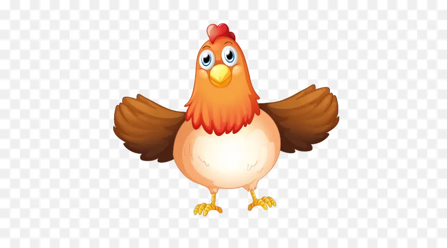 Pollo，Gallina PNG