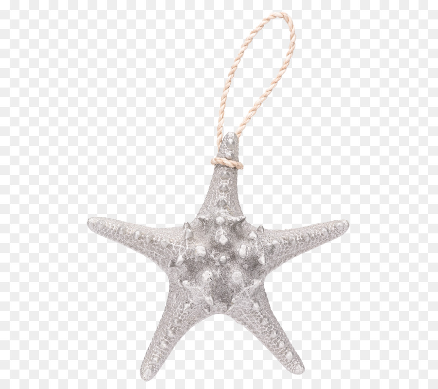 Estrella De Mar，Oro PNG