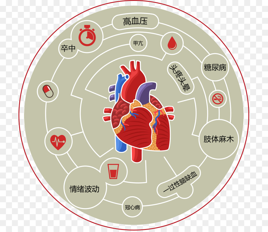 Corazón，La Enfermedad Cardiovascular PNG