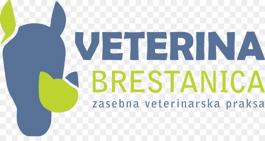 Gato，Veterinario PNG