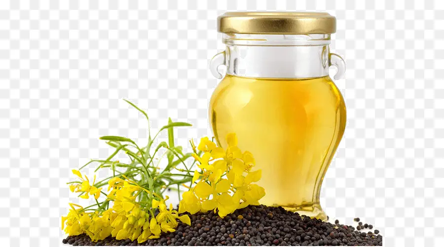 Canola，Aceite PNG