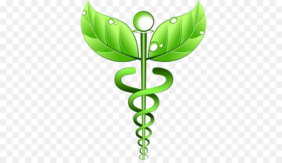 Alternativa De Servicios De Salud，Naturopatía PNG