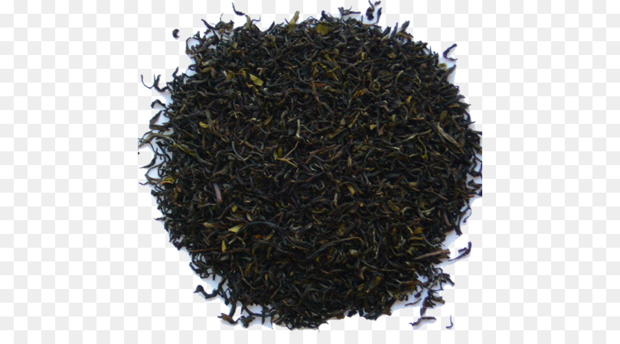 Té Nilgiri，Olong PNG