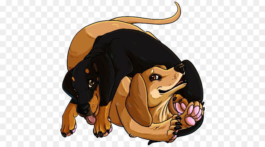 Raza De Perro，Cachorro PNG