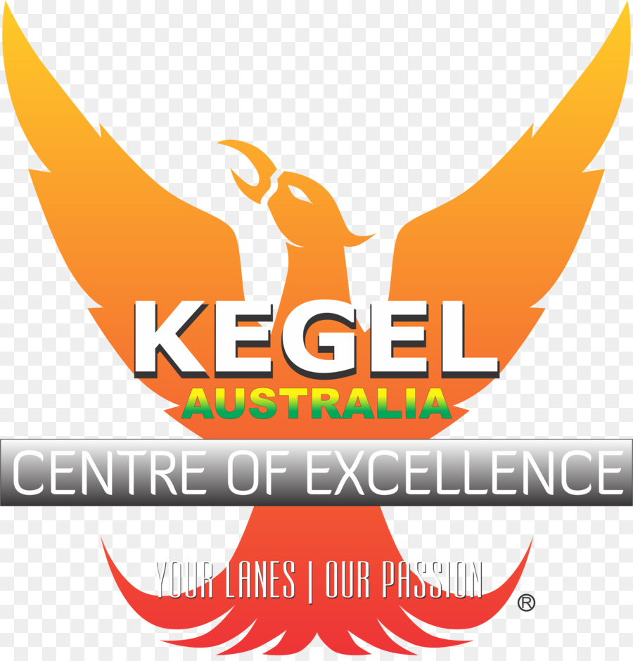 Logotipo，Ejercicio De Kegel PNG