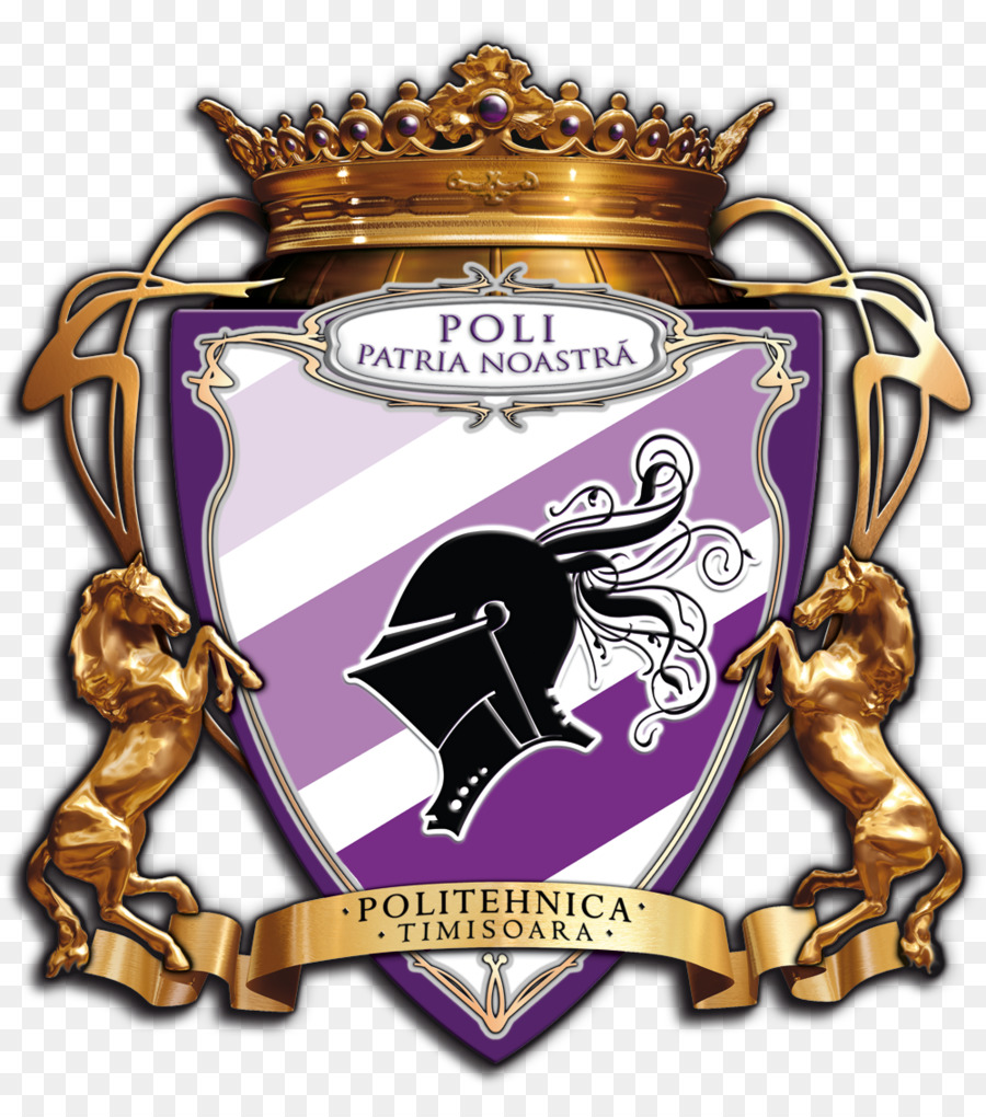 Fc Politécnica De Timişoara，Acs Poli Timisoara PNG